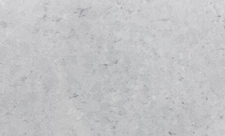 Fossil-stoneambassador.jpg