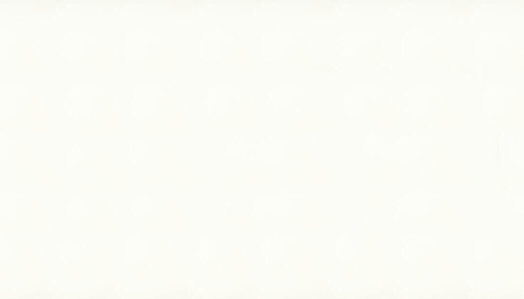 Vivid White
